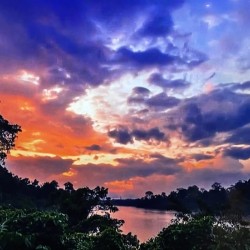 E9E978C7 CA82 47AC 8DCB 400D39FBF45F