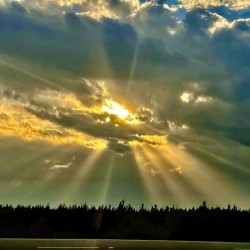 F6FF3F3C 4C1D 4FB7 97F9 1D109A257D89