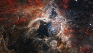 Tarantula Nebula JWST