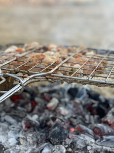 Cocking chicken on coal