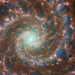 The Spiral Galaxy  JWST