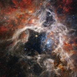 Tarantula Nebula JWST