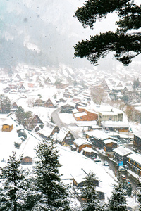 Winter wonderland
