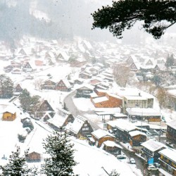 Winter wonderland