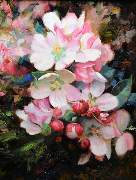 Apple Blossoms by Timothy Tyler