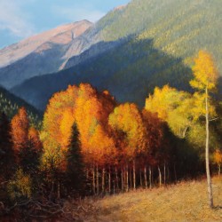 Autumn Aspens