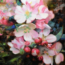 Apple Blossoms