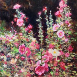 Hollyhocks