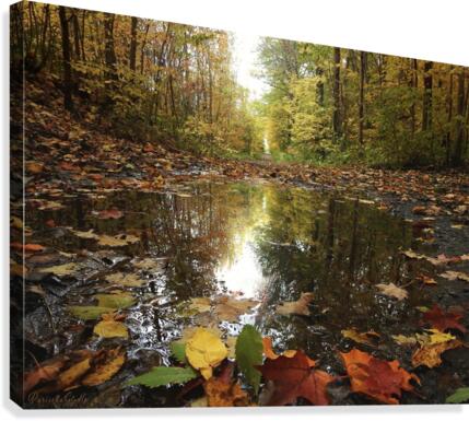 Autumn  Canvas Print