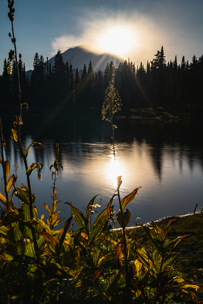 Rainier Reflections Print