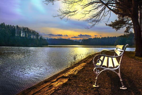 Bench by Dario Barukcic
