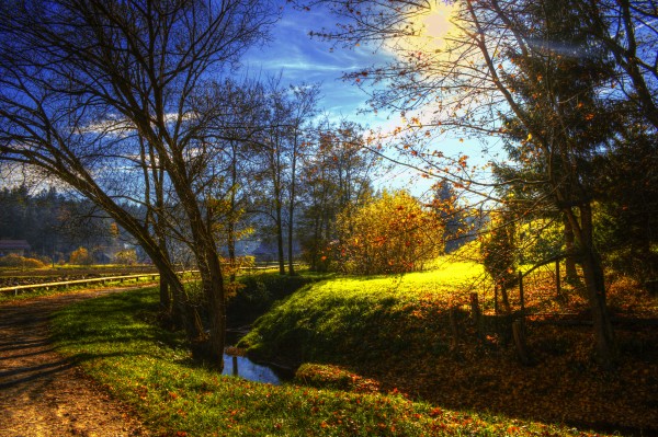 Creek in the autumn by Dario Barukcic
