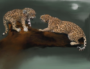 Jaguar Scene