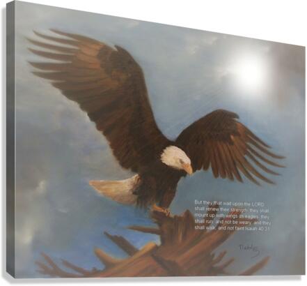 Eagle Canvas Print
