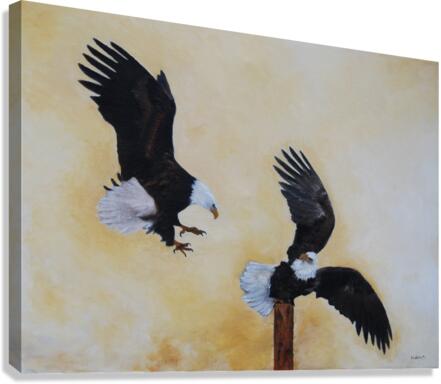 Two Eagles Canvas Print