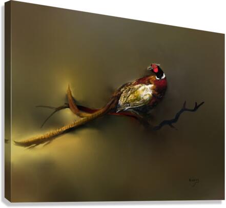 Pheasant Canvas Print