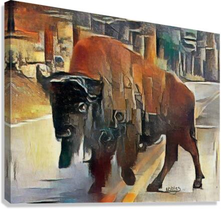 Yellowstone-Bison Canvas Print
