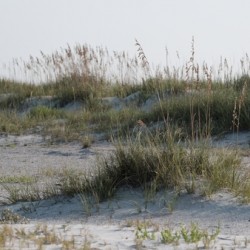 St Augustine Fl. Beach