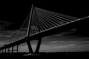 Black and White 17