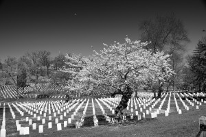 Black and White 01