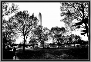 Black and White13