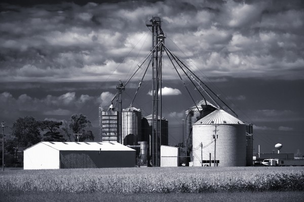 Black and White 21 Print