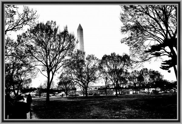 Black and White13 Print