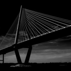 Black and White 17