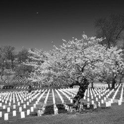 Black and White 01
