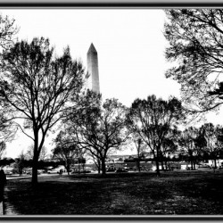 Black and White13