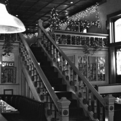 Black and White 08