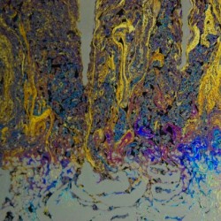 Bubbles Reimagined 86