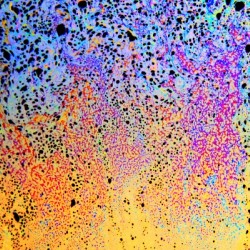 Bubbles Reimagined 89