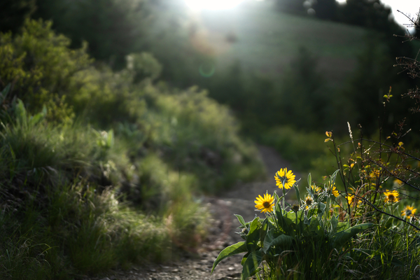 Spring Haven by Jeret Lockhart