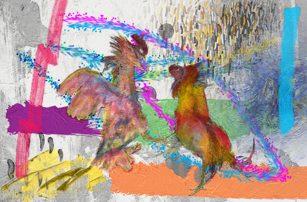 Rooster Fighting Print