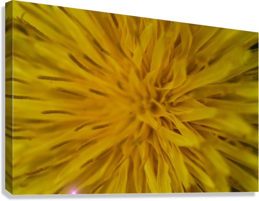  IGP1244 Canvas Print