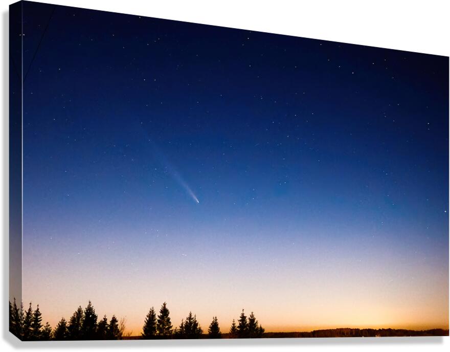 Comet Over Forest Canvas Print