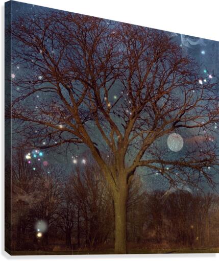 The Magic Tree Canvas Print
