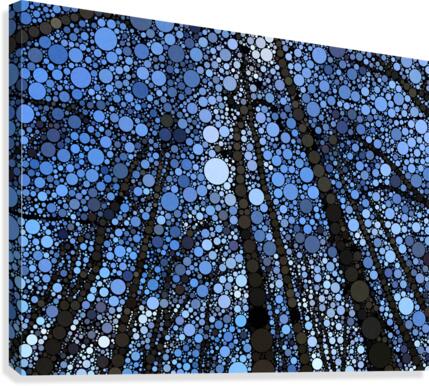 Breathe Canvas Print