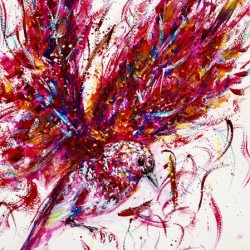 Bird in Flight - Red Blue Yellow Multicolor