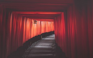 Fushimi red