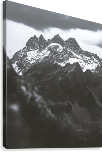 Three  Canvas Print