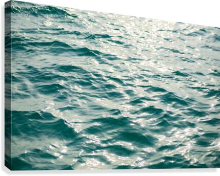Sea Canvas Print