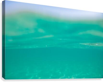 Under water Canvas Print