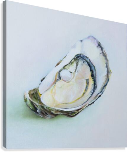 Oyster Canvas Print