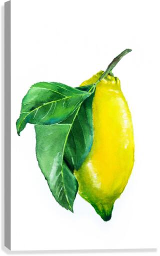 Lemon watercolor Canvas Print