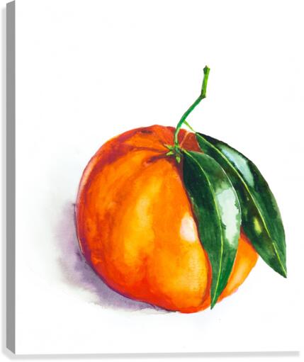 Mandarin Canvas Print