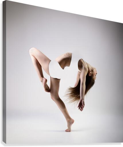 Dance  Canvas Print