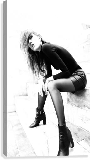 model Canvas Print