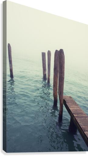Fog Canvas Print